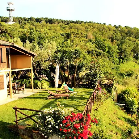 Chalet Annie Holiday home